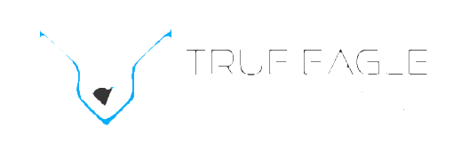 Trueagledigitech – one-stop spot for quality, safe and reliable on ...